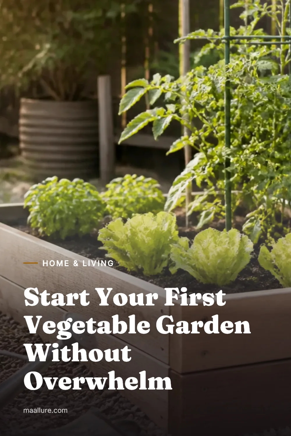 Beginner vegetable garden with raised bed, containers, herbs, lettuce and tomato supports in morning light
