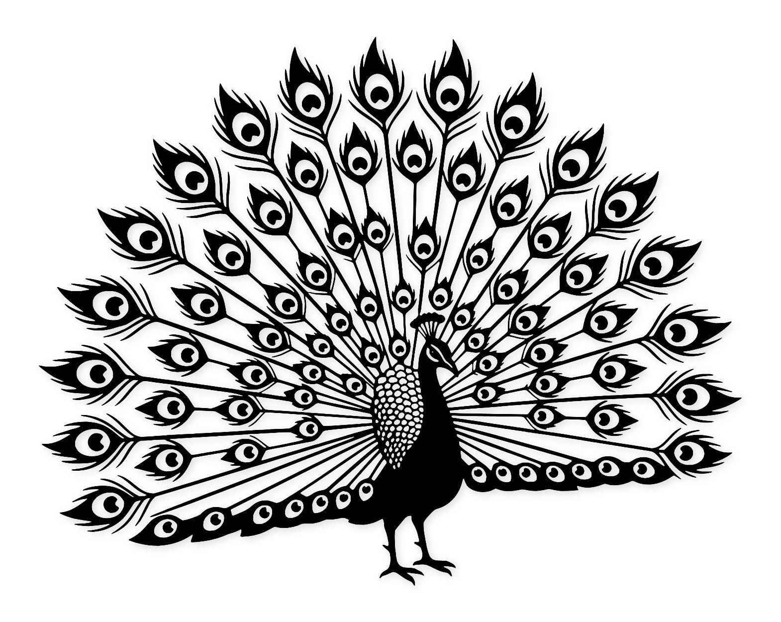 Proud Peacock Svg Png: Cut Ready Digital Design For Cricut Silhouette