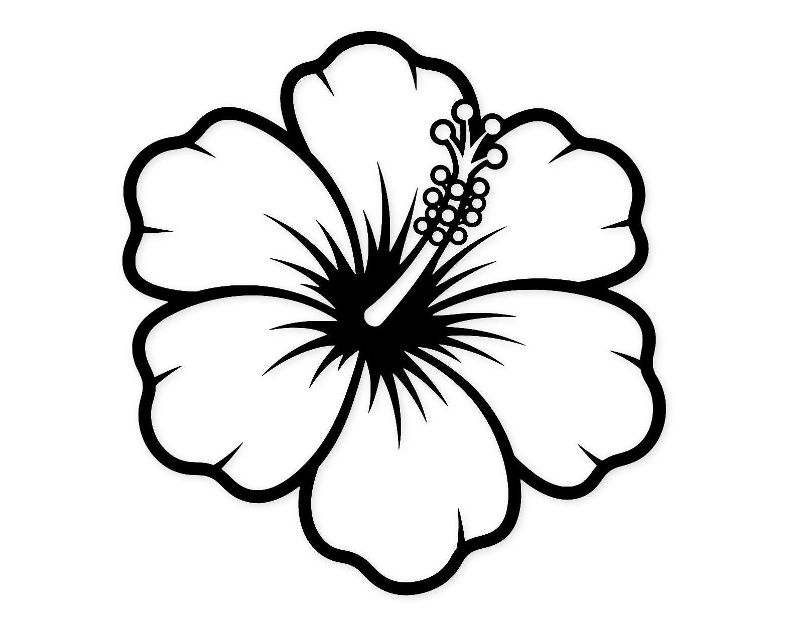 Hibiscus Flower Svg Png: Elegant Floral Design For Crafts