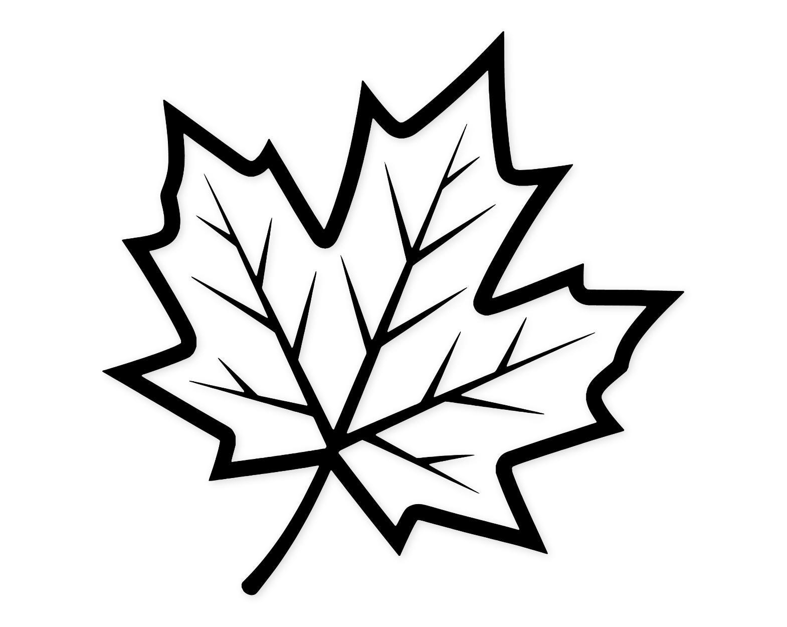 Autumn Leaf Icon Svg Png: Cut Ready Digital Design For Cricut Silhouette