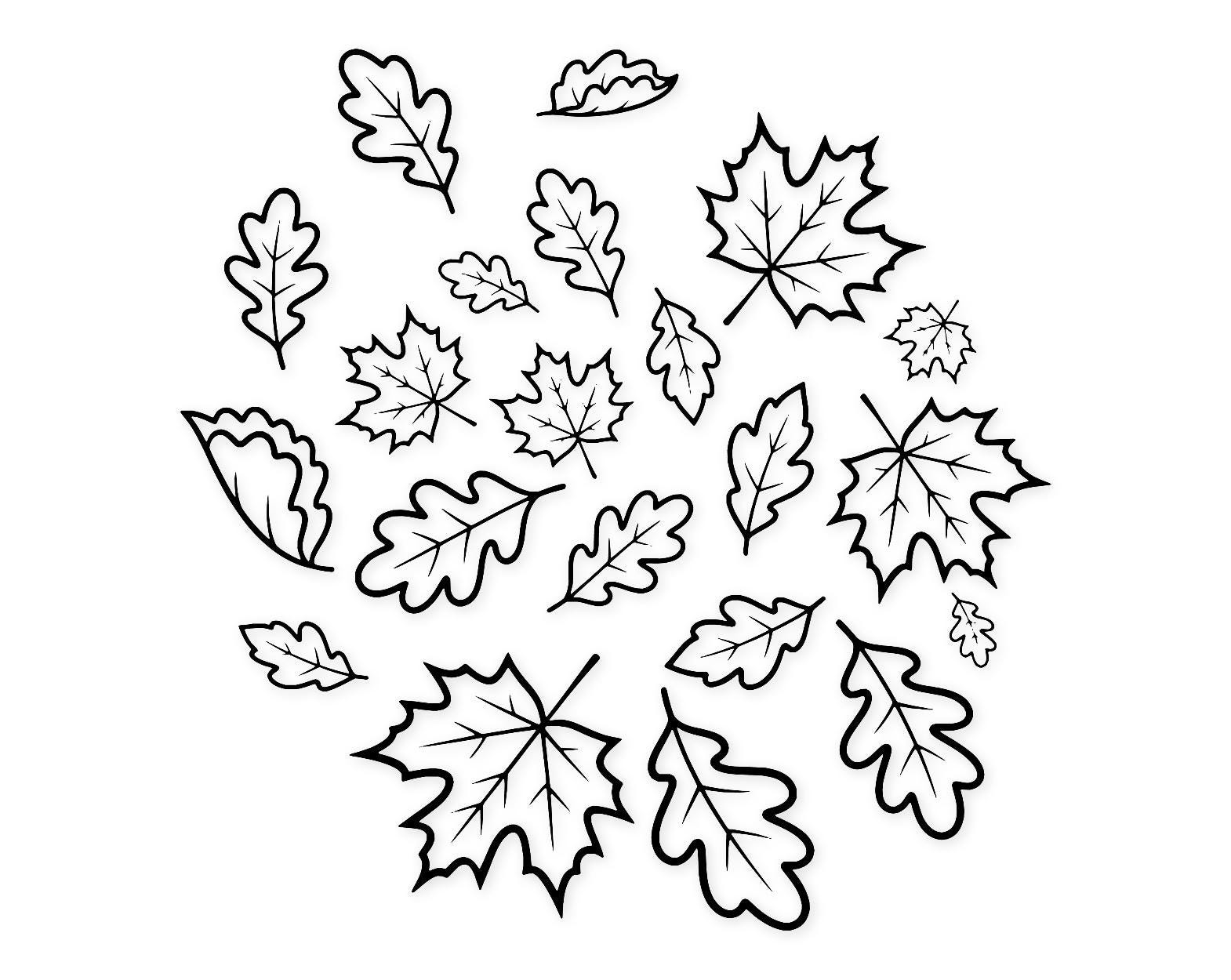 Falling Leaves Cluster Svg Png: Cut Ready Digital Design For Cricut Silhouette