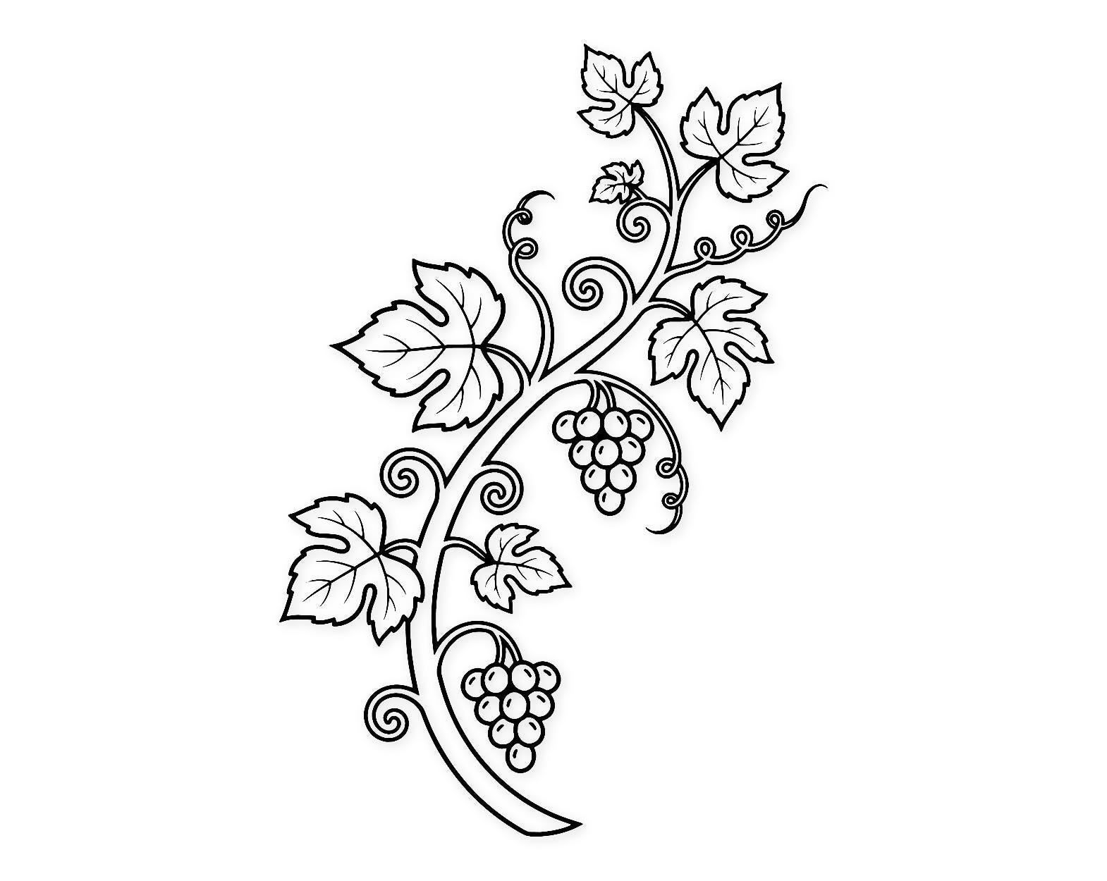 Vine And Grapes Svg Png: Bold Design For Spiritual Connection