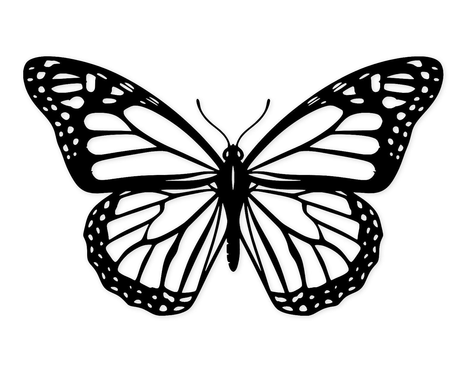 Monarch Butterfly Svg Png: Elegant Cut File For Cricut
