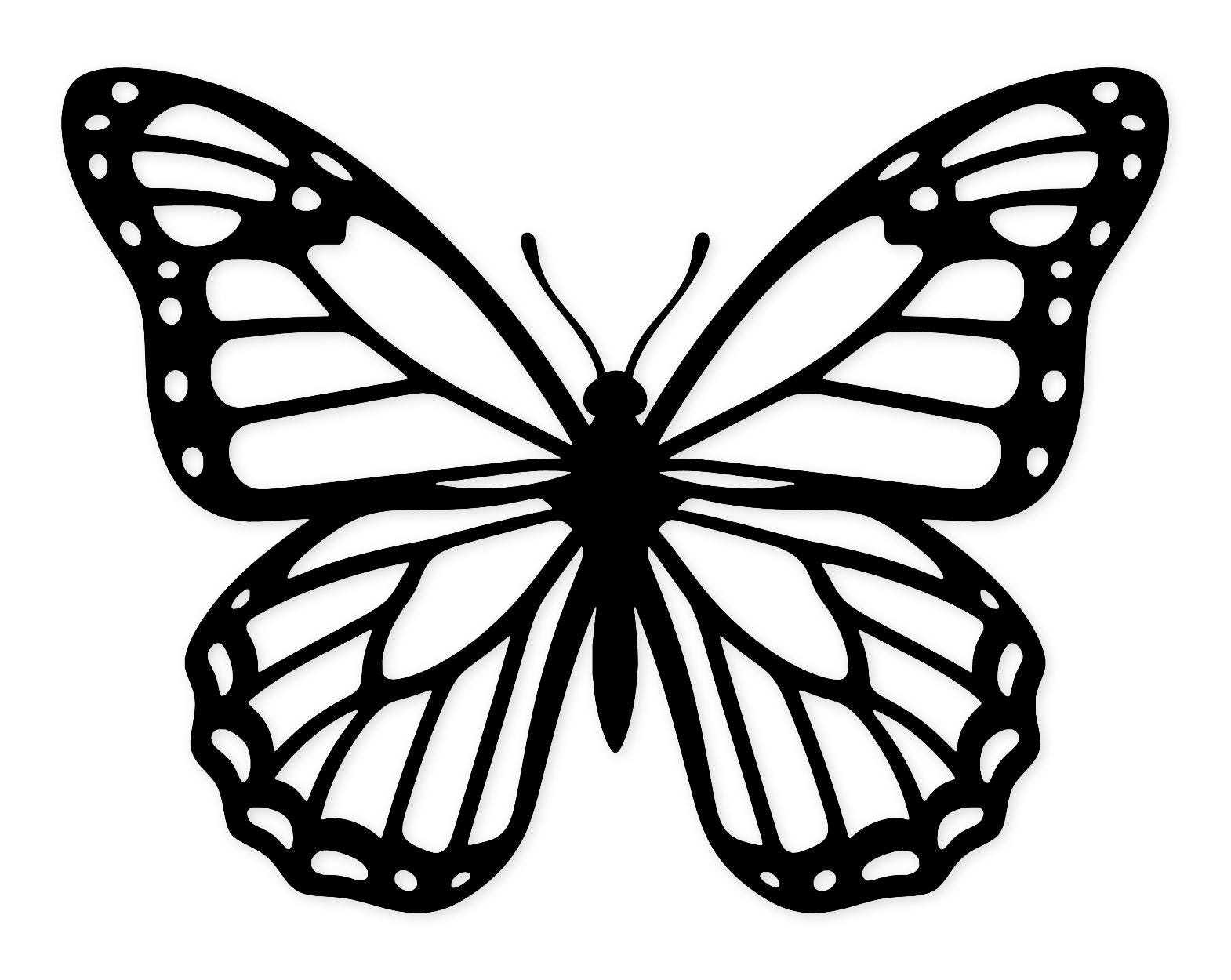 Butterfly Wings Close-Up Svg Png: Cut Ready Digital Design For Cricut Silhouette