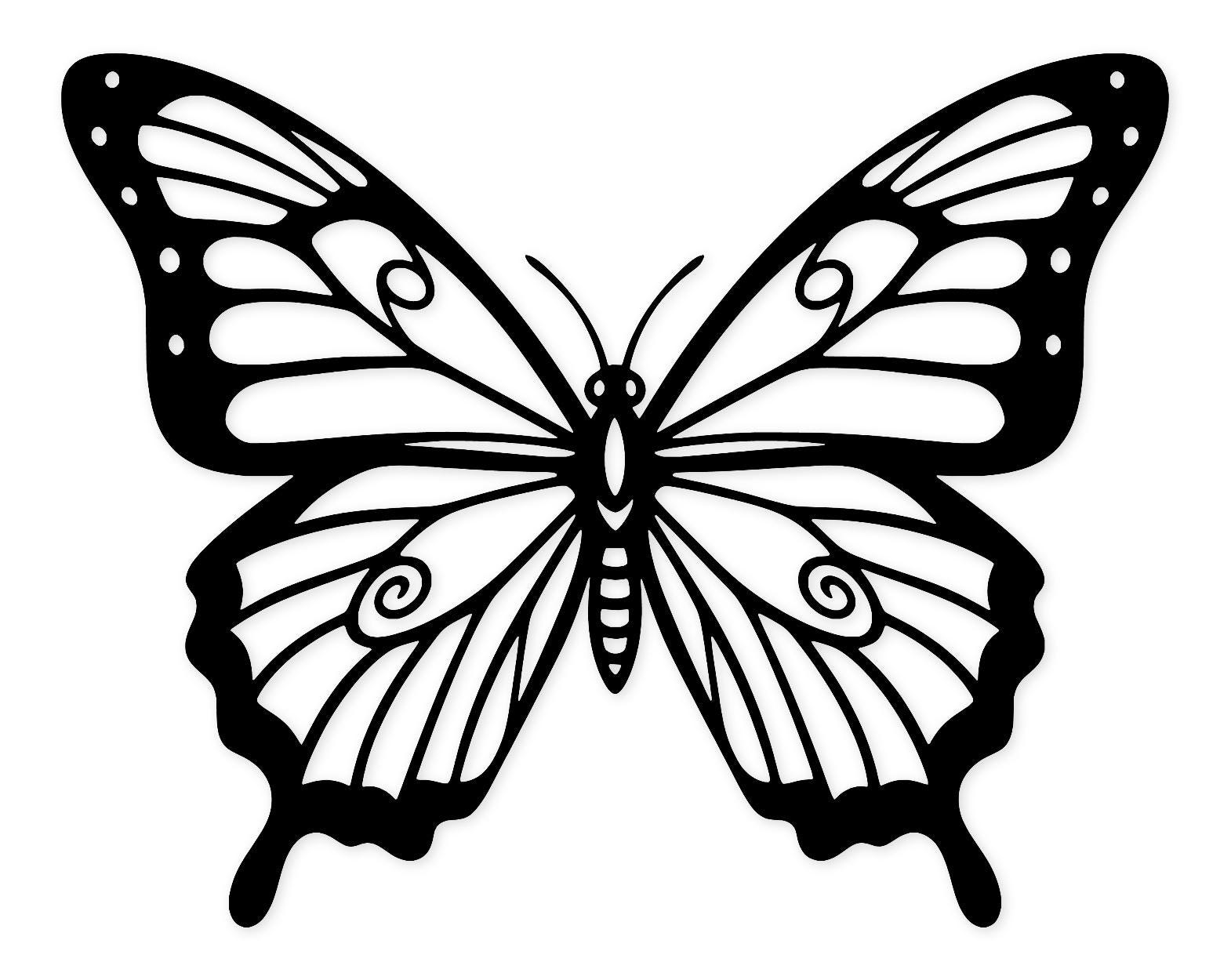 Single Butterfly, Large Scale Svg Png: Cut Ready Digital Design For Cricut Silhouette