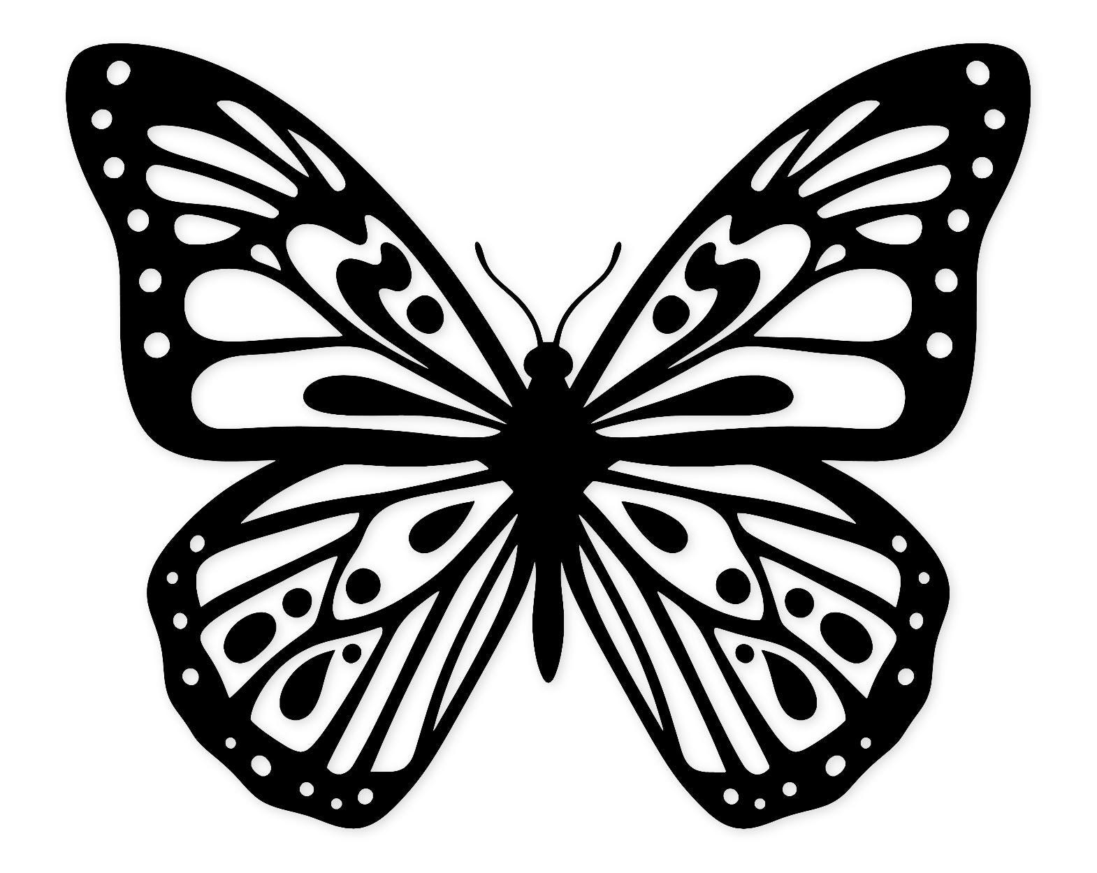 Butterfly Wing Symmetry Svg Png: Bold High Contrast Design For Cricut