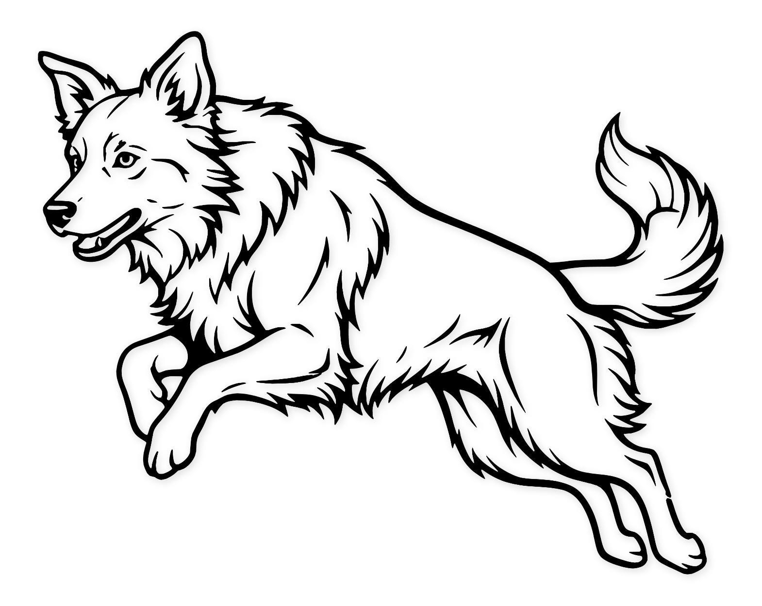 Border Collie Agility Svg Png: Bold Outline For Cricut Projects