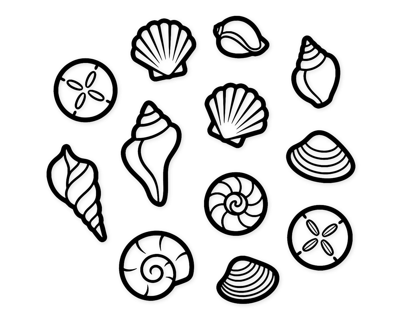 Seashell Collection Svg Png: Cut Ready Digital Design For Cricut Silhouette