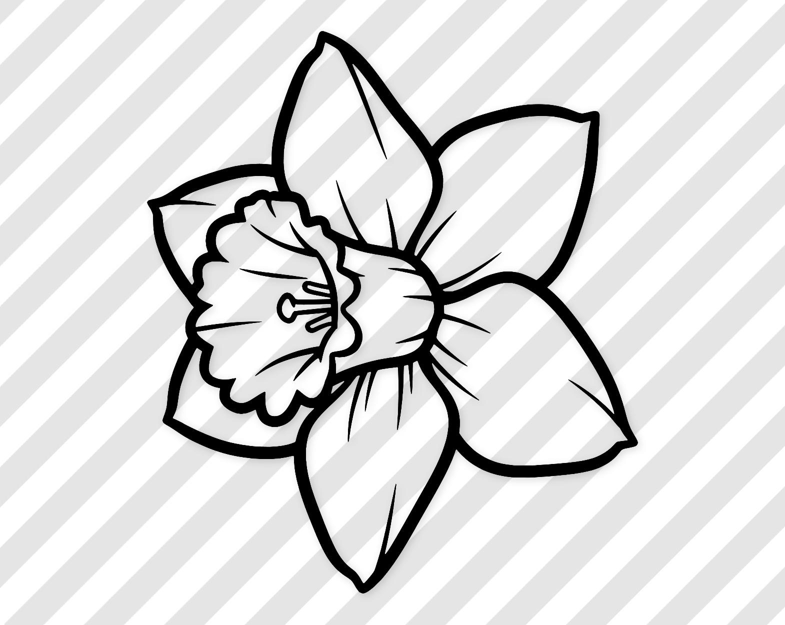 Daffodil Svg: Bold Outline Design For T-Shirts