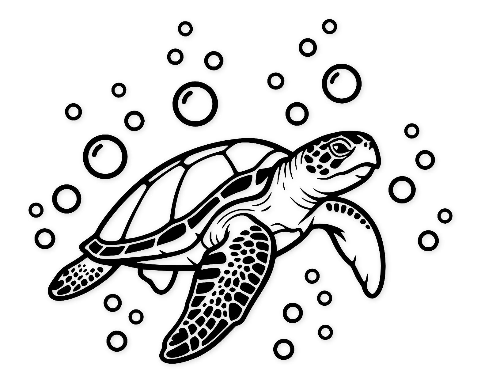 Turtle And Bubbles Svg Png: Cut Ready Digital Design For Cricut Silhouette