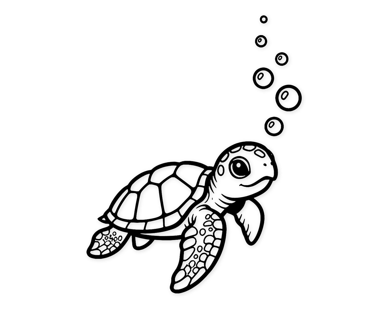 Turtle Trails Svg Png: Cut Ready Digital Design For Cricut Silhouette