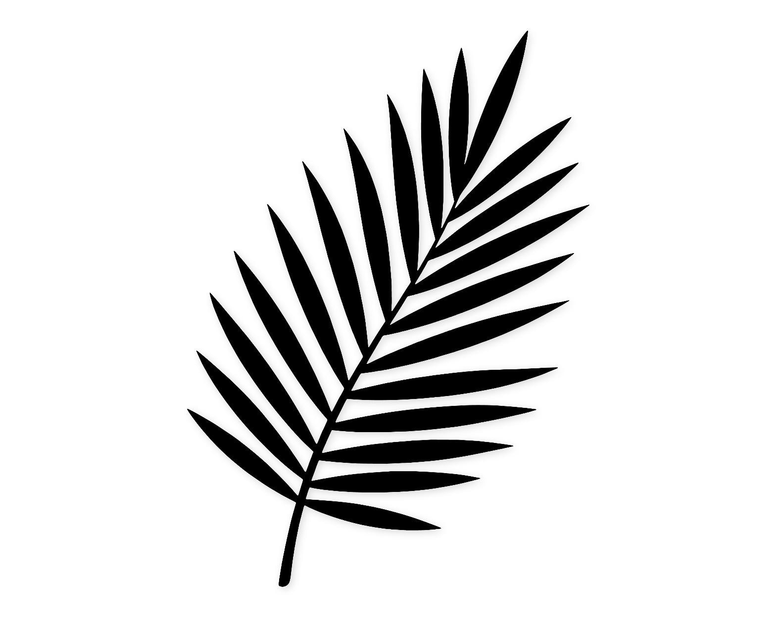 Palm Leaf Icon Svg Png: Cut Ready Digital Design For Cricut Silhouette