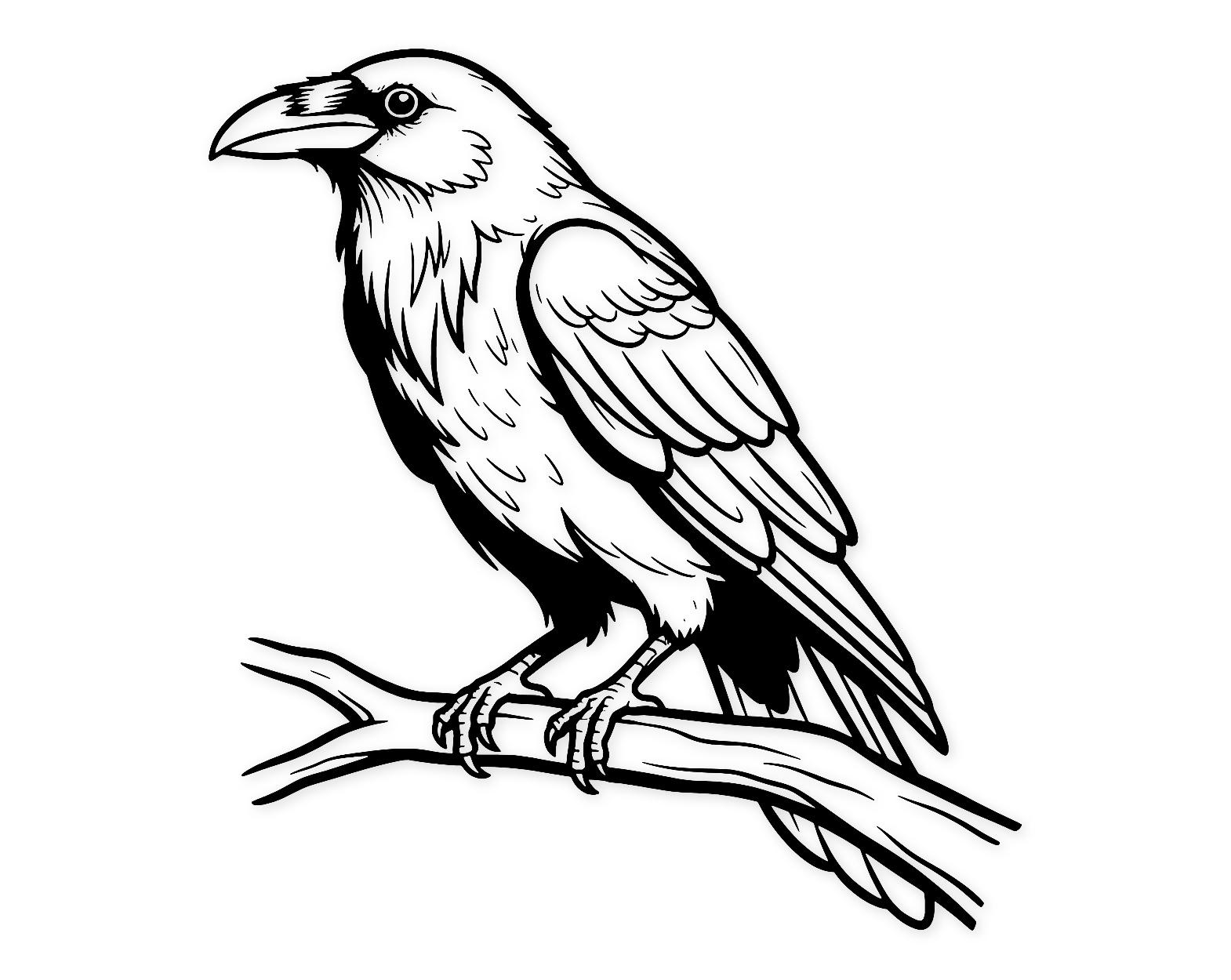 Raven Perched Svg Png: Hand-Drawn Design For Cricut