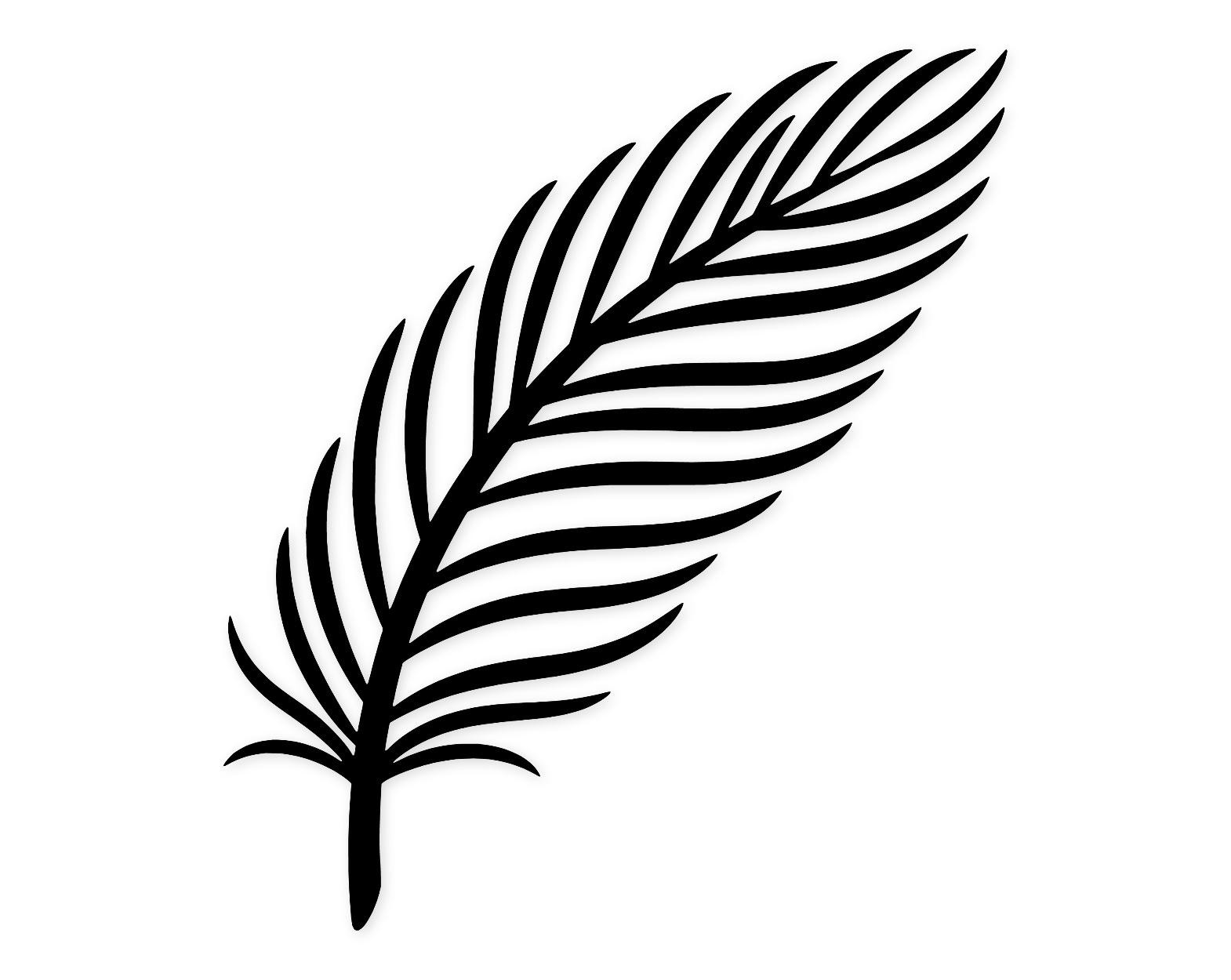 Feather Illustration Svg Png: Elegant Minimalist Design For Cricut