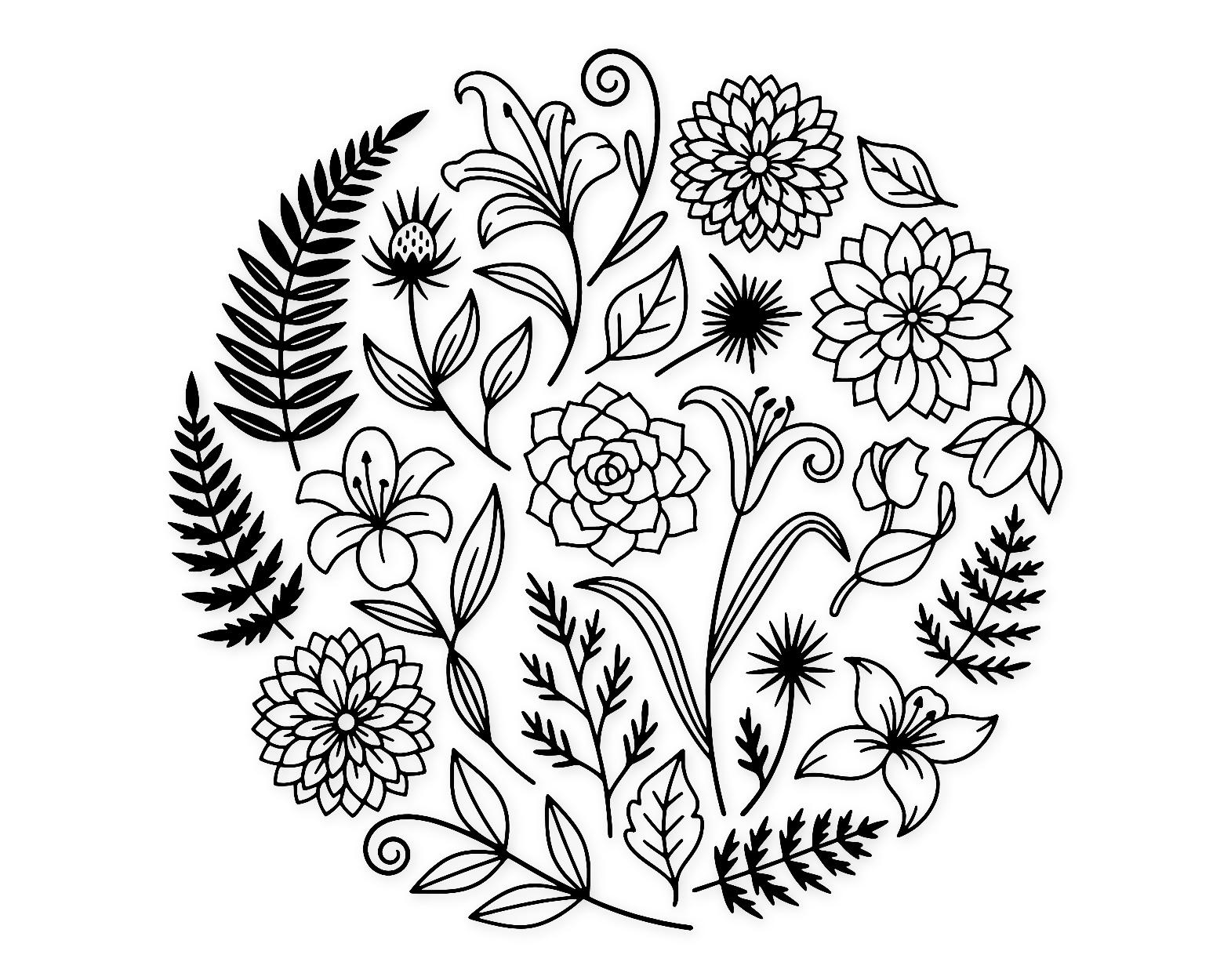 Botanical Line Art Svg Png: Elegant Floral Design For Wall Art