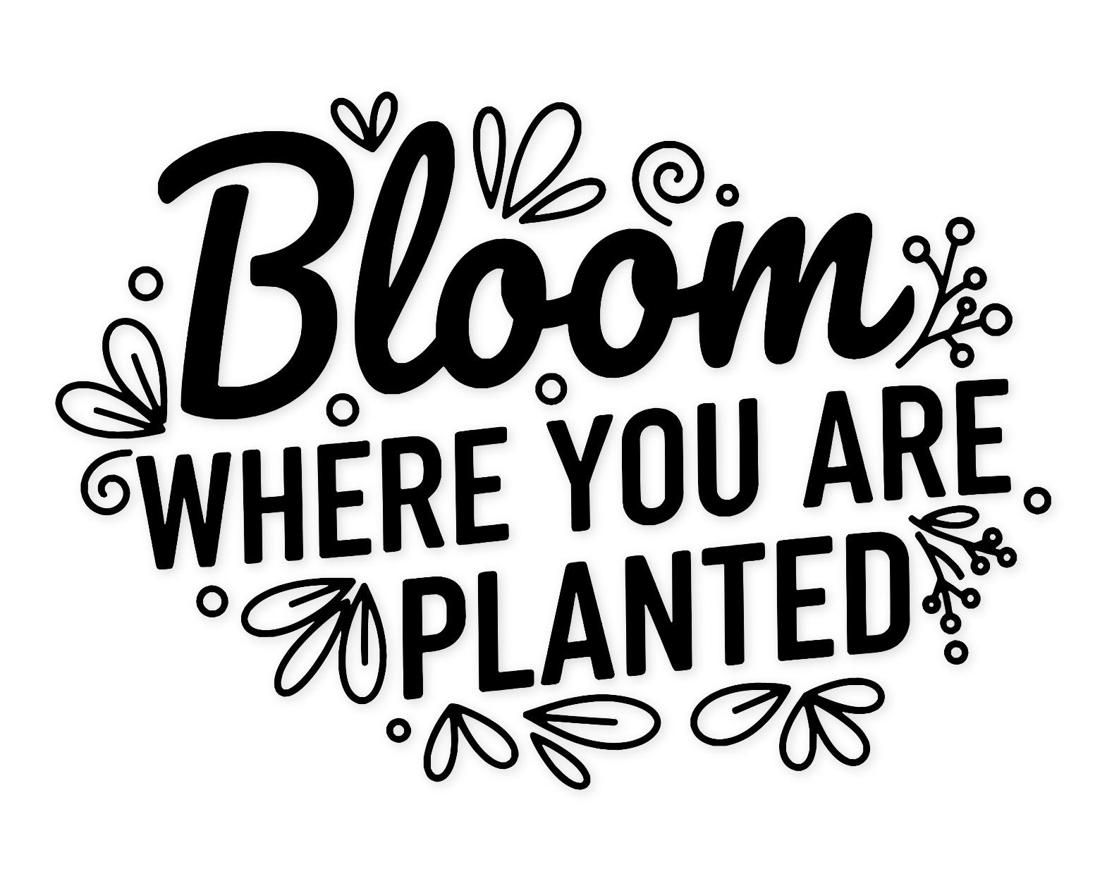 Flower Quote Svg Png: Minimalist Typography Design For Wall Art