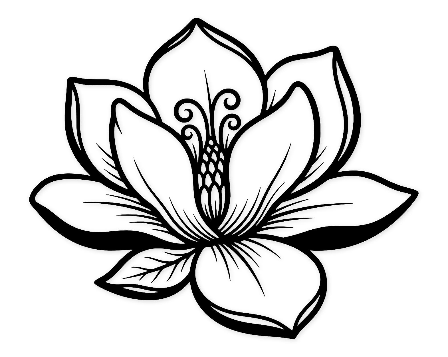 Vintage Magnolia Svg Png: Ornate Retro Design For Cut Files